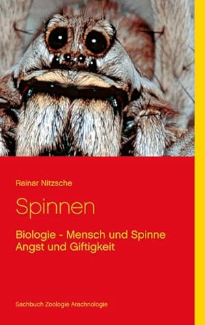 Immagine del venditore per Spinnen venduto da BuchWeltWeit Ludwig Meier e.K.