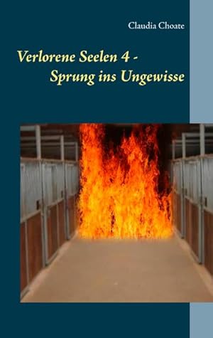 Seller image for Verlorene Seelen 4 - Sprung ins Ungewisse for sale by BuchWeltWeit Ludwig Meier e.K.
