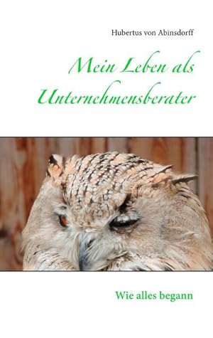 Seller image for Mein Leben als Unternehmensberater for sale by BuchWeltWeit Ludwig Meier e.K.