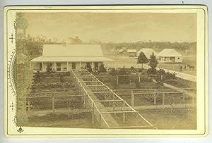 Haddon Rig Stud, seven Cabinet cards photographs c. 1890