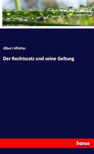 Image du vendeur pour Der Rechtssatz und seine Geltung mis en vente par BuchWeltWeit Ludwig Meier e.K.
