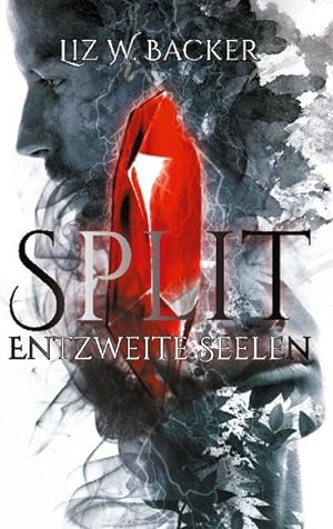 Image du vendeur pour Split mis en vente par BuchWeltWeit Ludwig Meier e.K.