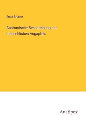 Seller image for Anatomische Beschreibung des menschlichen Augapfels for sale by BuchWeltWeit Ludwig Meier e.K.