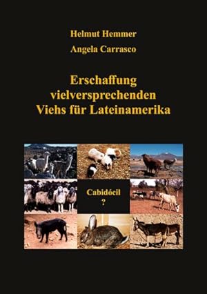 Imagen del vendedor de Erschaffung vielversprechenden Viehs fr Lateinamerika a la venta por BuchWeltWeit Ludwig Meier e.K.