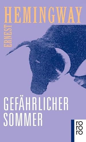 Seller image for Gefhrlicher Sommer for sale by BuchWeltWeit Ludwig Meier e.K.