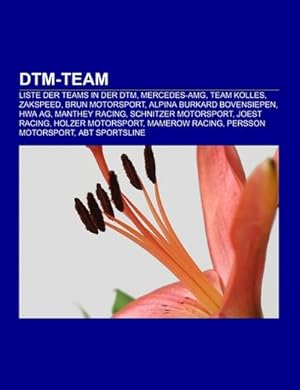 Seller image for DTM-Team for sale by BuchWeltWeit Ludwig Meier e.K.
