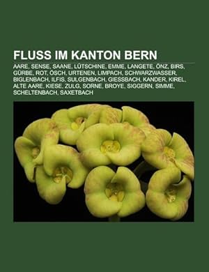 Seller image for Fluss im Kanton Bern for sale by BuchWeltWeit Ludwig Meier e.K.