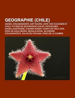 Bild des Verkufers fr Geographie (Chile) zum Verkauf von BuchWeltWeit Ludwig Meier e.K.