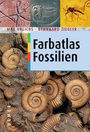 Seller image for Farbatlas Fossilien for sale by BuchWeltWeit Ludwig Meier e.K.