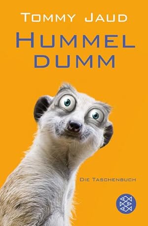 Seller image for Hummeldumm for sale by BuchWeltWeit Ludwig Meier e.K.