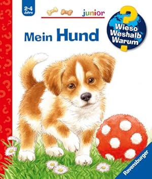 Bild des Verkufers fr Wieso? Weshalb? Warum? junior, Band 41: Mein Hund zum Verkauf von BuchWeltWeit Ludwig Meier e.K.