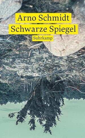 Seller image for Schwarze Spiegel for sale by BuchWeltWeit Ludwig Meier e.K.