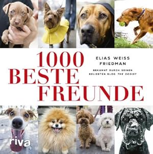 Seller image for 1000 beste Freunde for sale by BuchWeltWeit Ludwig Meier e.K.