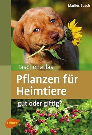 Seller image for Taschenatlas Pflanzen fr Heimtiere for sale by BuchWeltWeit Ludwig Meier e.K.