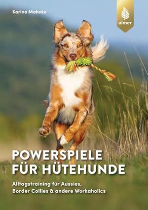 Imagen del vendedor de Powerspiele fr Htehunde a la venta por BuchWeltWeit Ludwig Meier e.K.