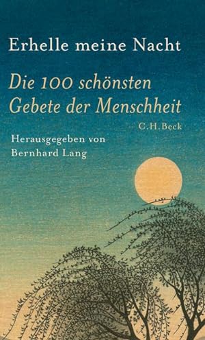 Image du vendeur pour Erhelle meine Nacht mis en vente par BuchWeltWeit Ludwig Meier e.K.