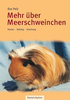 Image du vendeur pour Mehr ber Meerschweinchen mis en vente par BuchWeltWeit Ludwig Meier e.K.