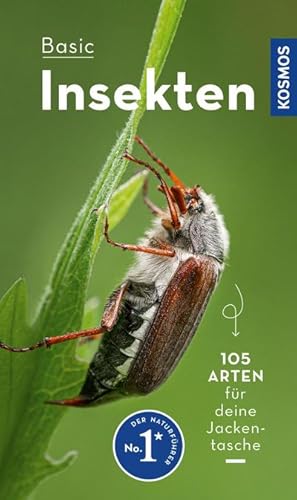 Image du vendeur pour BASIC Insekten mis en vente par BuchWeltWeit Ludwig Meier e.K.
