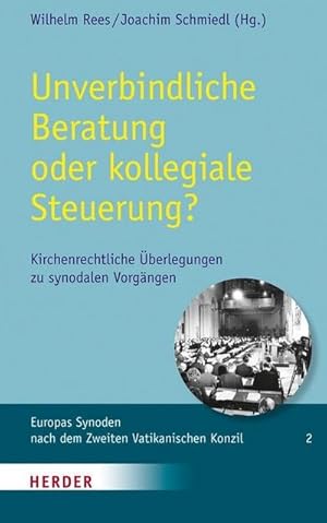 Immagine del venditore per Unverbindliche Beratung oder kollegiale Steuerung? venduto da BuchWeltWeit Ludwig Meier e.K.