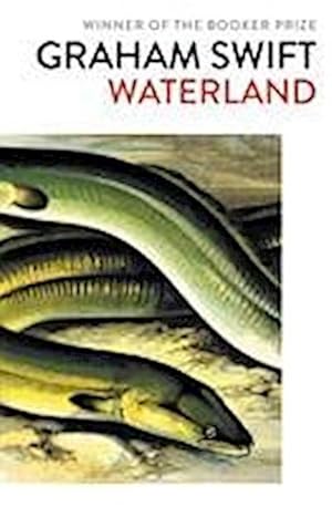 Seller image for Waterland for sale by BuchWeltWeit Ludwig Meier e.K.