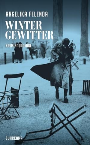 Seller image for Wintergewitter for sale by BuchWeltWeit Ludwig Meier e.K.