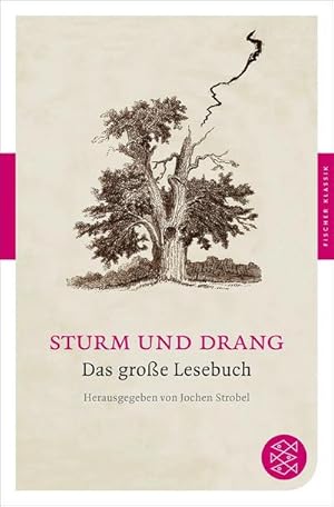 Bild des Verkufers fr Sturm und Drang zum Verkauf von BuchWeltWeit Ludwig Meier e.K.