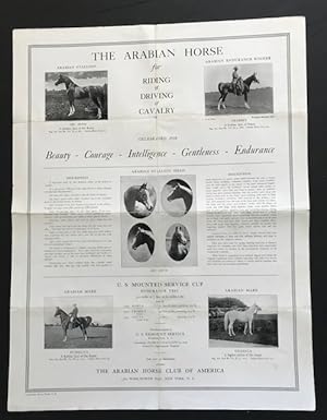 The Arabian Horse for Riding & Driving & Cavalry; Celebrated for Beauty - Courage - Intelligence ...