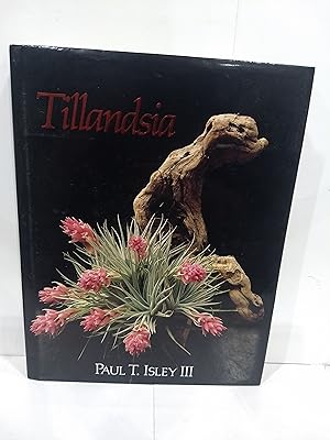 Imagen del vendedor de Tillandsia: The World's Most Unusual Airplants a la venta por Fleur Fine Books