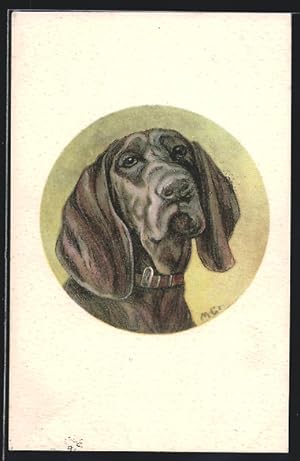 Ansichtskarte Jagdhund mit langen Ohren, Portrait