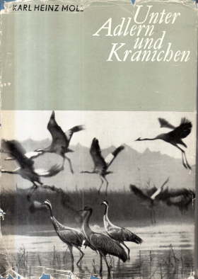 Bild des Verkufers fr Unter Adlern und Kranichen am Groen See. zum Verkauf von Leonardu