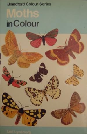 Seller image for Moths in Colour (Colour S.) for sale by WeBuyBooks