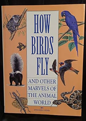 Bild des Verkufers fr How Birds Fly and Other Marvels of the Ani zum Verkauf von WeBuyBooks