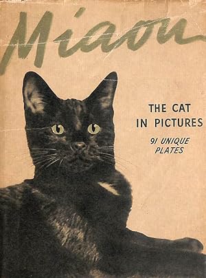 MIAOU. The Cat in Pictures.