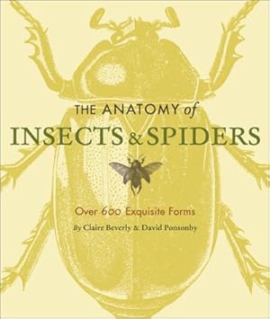 Seller image for The Anatomy of Insects & Spiders: Over 600 Exquisite Forms for sale by Reliant Bookstore