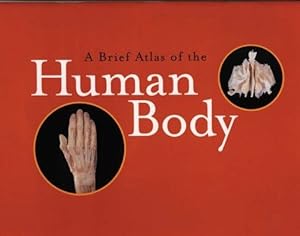 Seller image for A Brief Atlas of the Human Body for sale by Reliant Bookstore