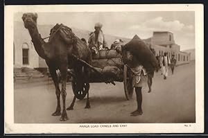 Ansichtskarte Jemen, Maala load Camels and Cart, Kamel