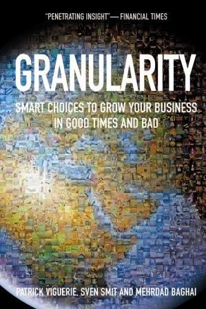 Imagen del vendedor de Granularity: Smart Choices to Grow Your Business in Good Times and Bad a la venta por WeBuyBooks