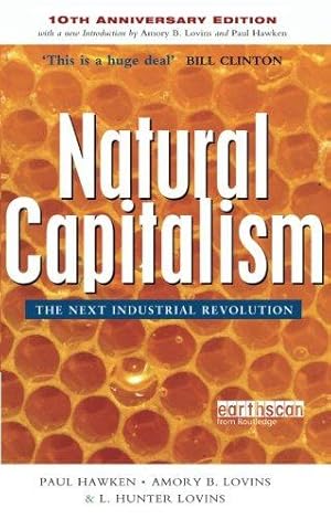 Bild des Verkufers fr Natural Capitalism: The Next Industrial Revolution zum Verkauf von WeBuyBooks