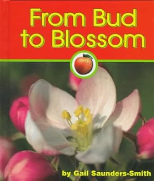 Bild des Verkufers fr From Bud to Blossom (Pebble Books) zum Verkauf von ZBK Books