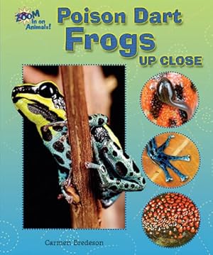 Image du vendeur pour Poison Dart Frogs Up Close (Zoom in on Animals!) mis en vente par ZBK Books