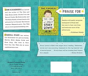 Seller image for Stuey Lewis Against All Odds: Stories from the Third Grade (Stuey Lewis, 2) for sale by ZBK Books