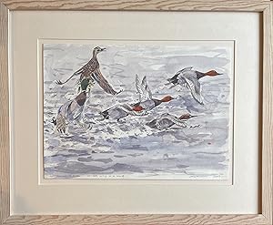 James McCallum - ORIGINAL WATERCOLOUR - HOLKHAM LAKE, MALLARD AND POCHARD TAKING OFF.