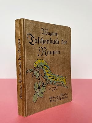 TASCHENBUCH DER RAUPEN MITTELEUROPAISCHER GROSSSCHMETTERLINGE. [CATERPILLARS OF CENTRAL EUROPEAN ...