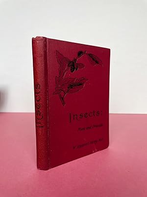 INSECTS: Foes and Friends