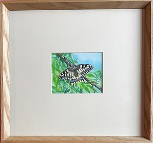 Chris Shields - ORIGINAL WATERCOLOUR OF A SWALLOWTAIL BUTTERFLY (Papilio machaon) ON WILLOW