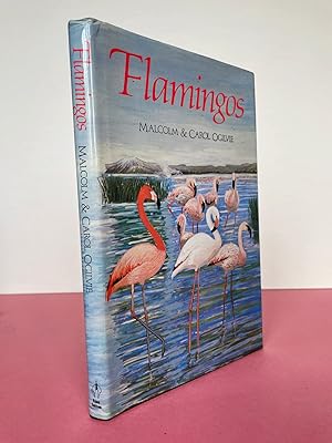 FLAMINGOS [signed copy]