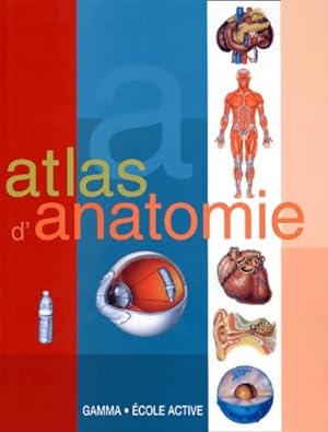 Atlas d'anatomie - Collectif