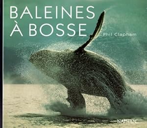 Baleines a bosses - Collectif