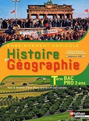 Histoire et géographie Terminale BAC Pro - Collectif