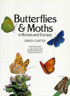 Imagen del vendedor de Butterflies & Moths in Britain and Europe. a la venta por C. Arden (Bookseller) ABA